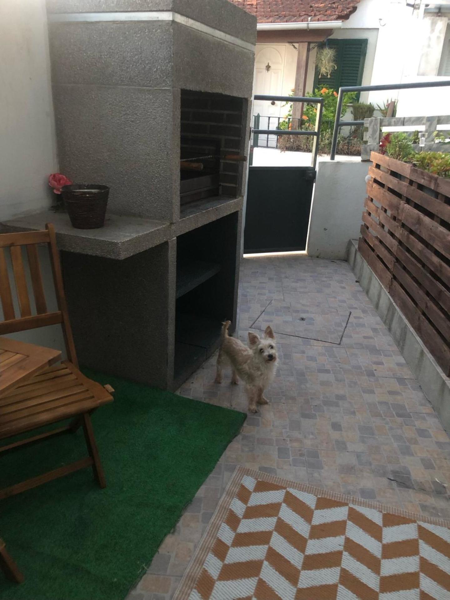 Cantinho Da Susana โกอิมบรา ภายนอก รูปภาพ